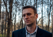 Первый день рассмотрения возвращенного в кировский суд «дела «Кировлеса» Алексея Навального начался с разногласий защиты и обвинения