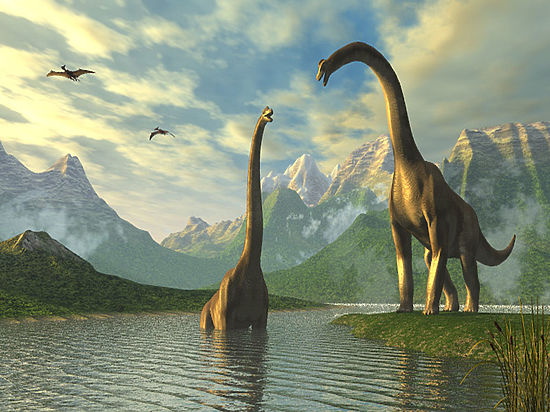 В Палеонтологическом музее столицы 6 декабря откроется выставка «Сибирский пситтакозавр». 