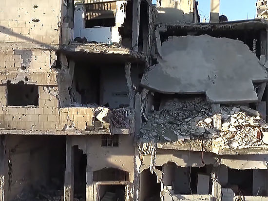 Вместе с семьями они отправились в провинцию Идлиб