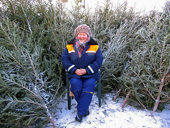 А цена на новогоднее дерево будет максимум 1000 рублей за метр