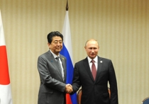 США в ноябре несколько раз выражали недовольство по поводу готовящегося визита президента России Владимира Путина в Японию, сообщило агентство Kyodo