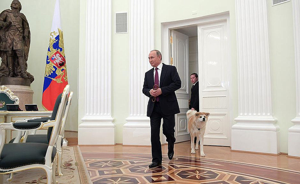 Путин показал японцам строгую собаку Юмэ, которая его оберегает