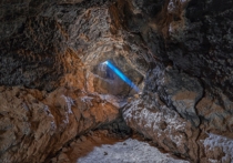 Ряд средств массовой информации сообщил о том, что в одной из мексиканских пещер были обнаружены таинственные существа с вытянутым телом и множеством маленьких крыльев