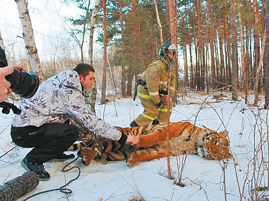 Спасатели Воронежской области участвовали в экзотической операции