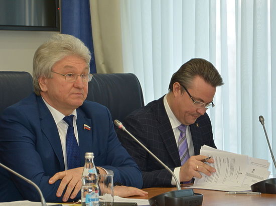 Бюджет Воронежа на 2017 год принят в первом чтении