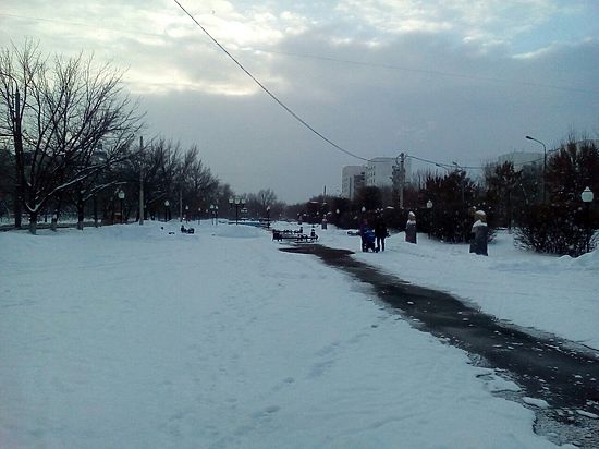 Возле ДК «Молодежного» в Оренбурге  парк остался без елки
