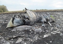 Полиция Нидерландов сначала задержала, а потом изъяла собранные материалы у двух голландских журналистов, которые побывали на месте крушения самолета Boeing 777 в Донецкой области. Репорты считают, что голландские правоохранители пытаются что-то скрыть. 