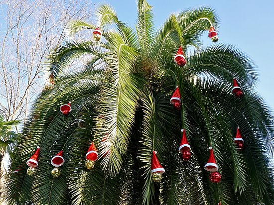 Шесть праздничных новогодних «елок» главы города были проведены в Зимнем театре  