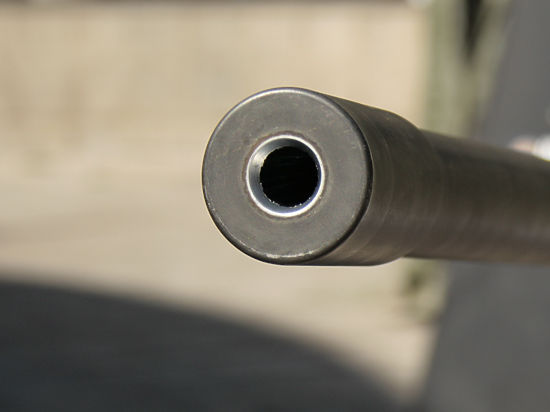 По мнению эксперта, в незалежной готовят военный переворот
