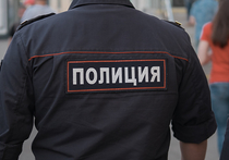 Расследованием загадочного исчезновения 16-летней жительницы Солнечногорского района Московской области, якобы похищенной злоумышленниками в Зеленограде, занимаются столичные стражи порядка