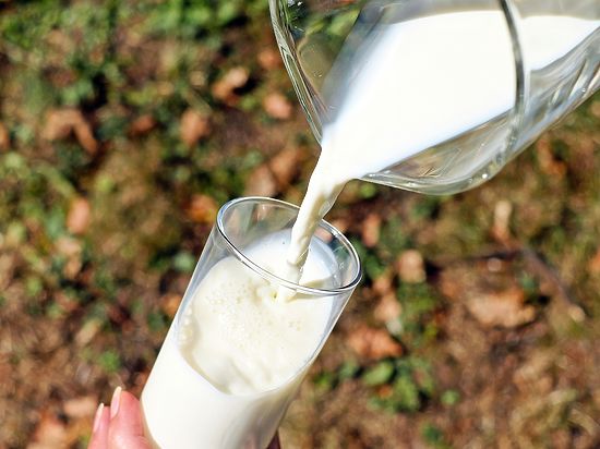 На новом молочном комплексе в Тюменской области завершен первый этап комплектации поголовьем