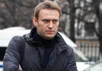 Алексей Навальный собрался обратиться в Следственный комитет России с просьбой проверить слова депутата Госдумы Сергея Железняка