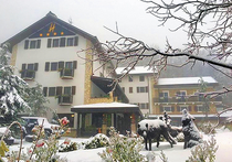 Десятки людей, вероятно, стали жертвами схода снежной лавины на трехэтажный горный отель в регионе Абруццо (Центральная Италия)