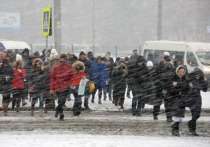 После морозного «25-градусного» четверга москвичей ждут «плюсовые» выходные
