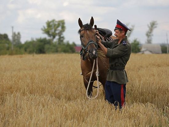 Нижегородская область поможет казакам