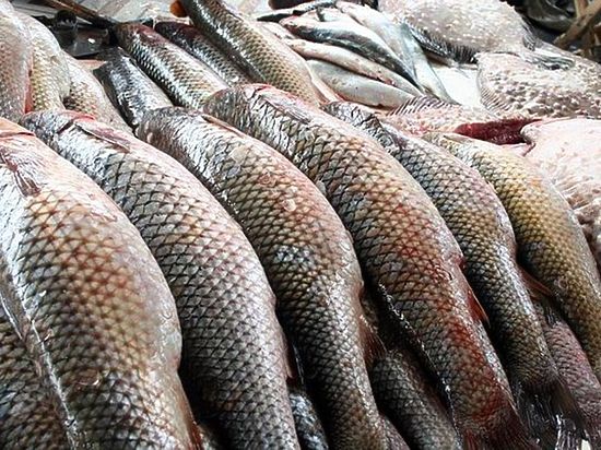 500 кг опасной рыбы обнаружены на потребительских рынках Ижеска