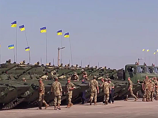 Боевые действия должны закончиться 5 февраля