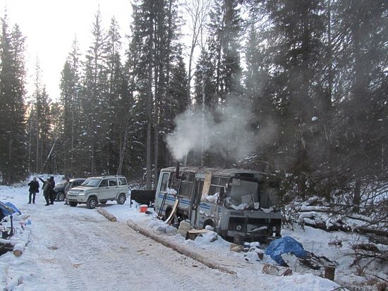 Общественники нагрянули на незаконную лесосеку в Берёзовском районе 
