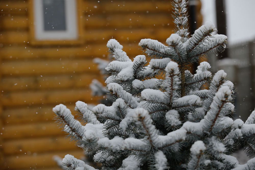 Синоптики прогнозируют снегопад в Волгоградской области