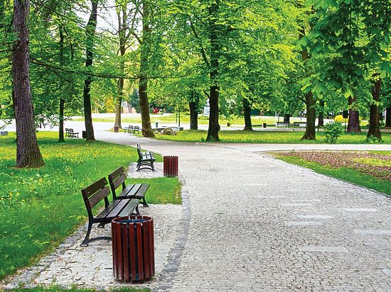 Новокузнецкие предприниматели бесплатно получат землю в парках города 