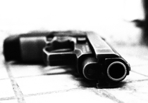 Неосмотрительный отец выстрелил по неосторожности из пневматического пистолета в лицо трехлетней дочери в Зеленограде 14 февраля