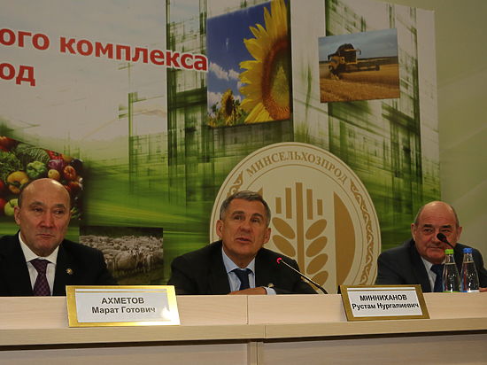 Президент Татарстана призвал сельхозпроизводителей искать новые формы сбыта продукции
