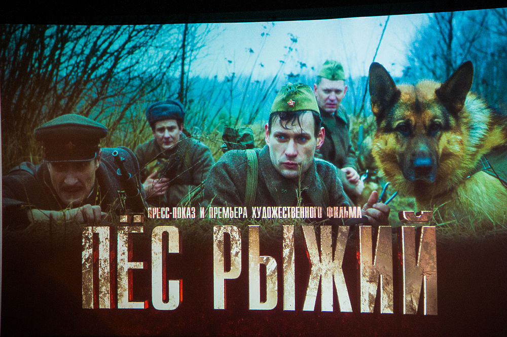 На премьере фильма «Пес рыжий» в Волгограде выступили кинологи с собаками