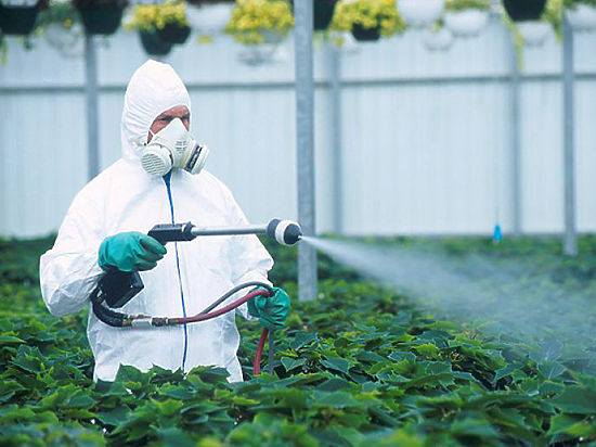 Отказ от пестицидов приведет к продовольственной катастрофе