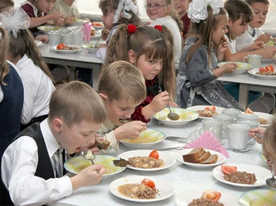 Дмитрий Бердников предложил властям пересмотреть подходы к питанию школьников