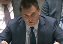 Глава МИД Украины Павел Климкин заявил о том, что Киев нуждается в поставках оборонительного летального оружия