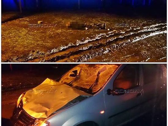 В Ростовской области водитель «Рено» насмерть сбил двух пешеходов 
