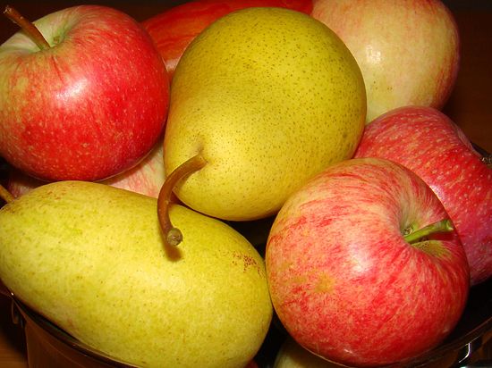 Почти 600 кг яблок и груш уничтожили в Удмуртии