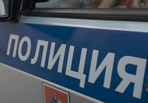 28-летнего Леонида Оводова, взятого под арест Солнцевским судом Москвы на два месяца, поместили в психиатрическую больницу «Бутырки»