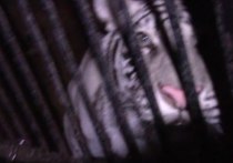 Перевозчики редких животных вызвали нарекание у главы ведомства

О том, что фура, в которой везли редких животных, застряла на трассе в Северном районе Оренбургской области, стало известно в ночь на 4 марта