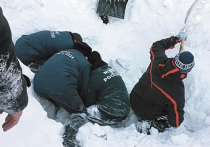 На северном склоне горы Чегет, в Кабардино-Балкарии, в зоне, запрещенной для катания, на высоте 2800 метров над уровнем моря, 3 марта погибли семь молодых фрирайдеров, среди которых три девушки
