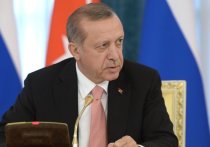 Запрет немецких властей на проведение в стране агитационных мероприятий в связи с грядущим референдумом о поправках в турецкую конституцию, расширяющих полномочия президента, вызвал крайне негативную реакцию Реджепа Тайипа Эрдогана