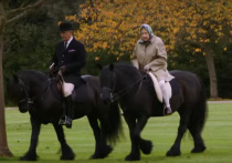 Королева Великобритании прокатилась верхом на пони... ну как пони... Смотрите сами