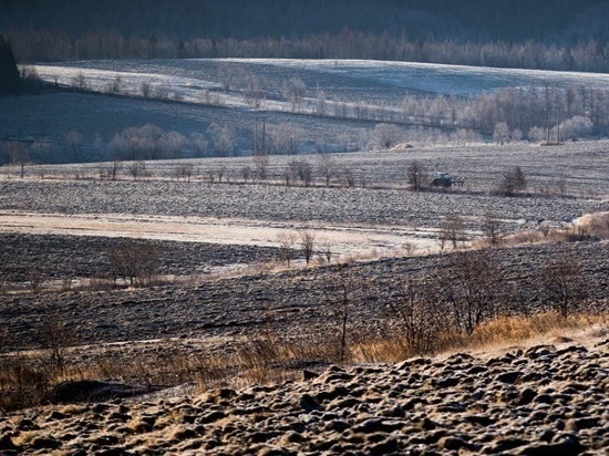 Новоиспеченных землевладельцев  сахалинские власти поддержат рублем 