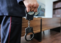 Задержанный по делу о взятке экс-зампрокурора  взят под стражу