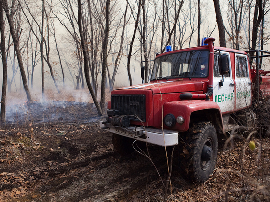 Приморцы сами должны обезопасить землю от лесных пожаров