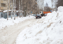 Годом ранее двухмесячник по уборке Архангельска стартовал во второй половине апреля, когда большая часть снега уже сошла и установилась стабильная плюсовая температура