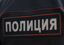 В Ленинградской области возбуждено уголовное дело в отношении местного жителя, который едва не убил ребенка из-за его шалости. Мужчина, находившийся за рулем своего внедорожника, устроил погоню за ребенком и умышленно сбил его. Все произошедшее записала камера наблюдения. 