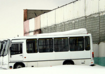 В феврале директором ПАТП 1 — муниципального автобусного пассажирского предприятия города Орла — стал депутат облсовета Андрей Митин