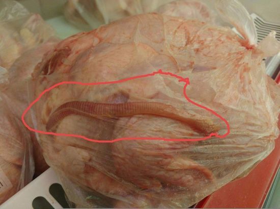 Жительница Кузбасса заметила в курятине огромного червя 