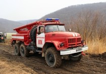 На территории земель лесного фонда Приморского края введен пожароопасный режим, а в ближайшее время в регионе будет введен особый противопожарный режим