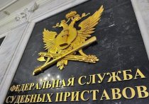 Воронежские судебные приставы подвели итоги работы за прошедший год