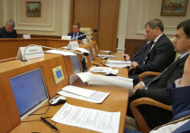 Комитет Законодательного собрания Свердловской области по вопросам законодательства и общественной безопасности отклонил поправки в закон о выборах губернатора, касающиеся так называемого муниципального фильтра