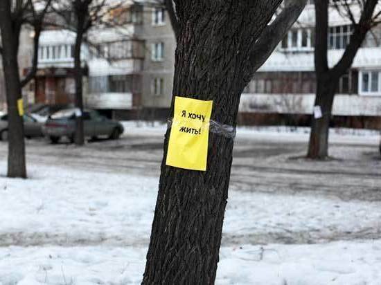Вето властей на вырубку деревьев может спасти зеленые насаждения в Челябинске.