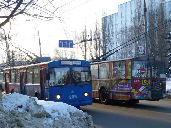 С 1 января по 1 апреля 2017 года школьники и пенсионеры из Йошкар-Олы обходились без льготы на проезд в троллейбусном транспорте.