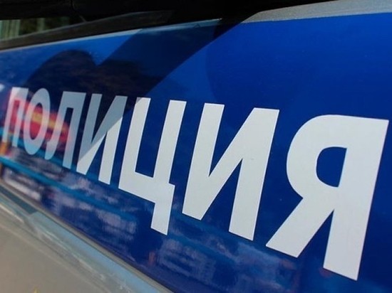 Полиция проведет ночные рейды в Нижнем Новгороде 17-18 марта